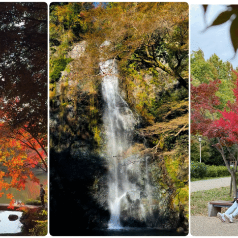 CATANDUANES: Warning! She is Amazing and Addicting